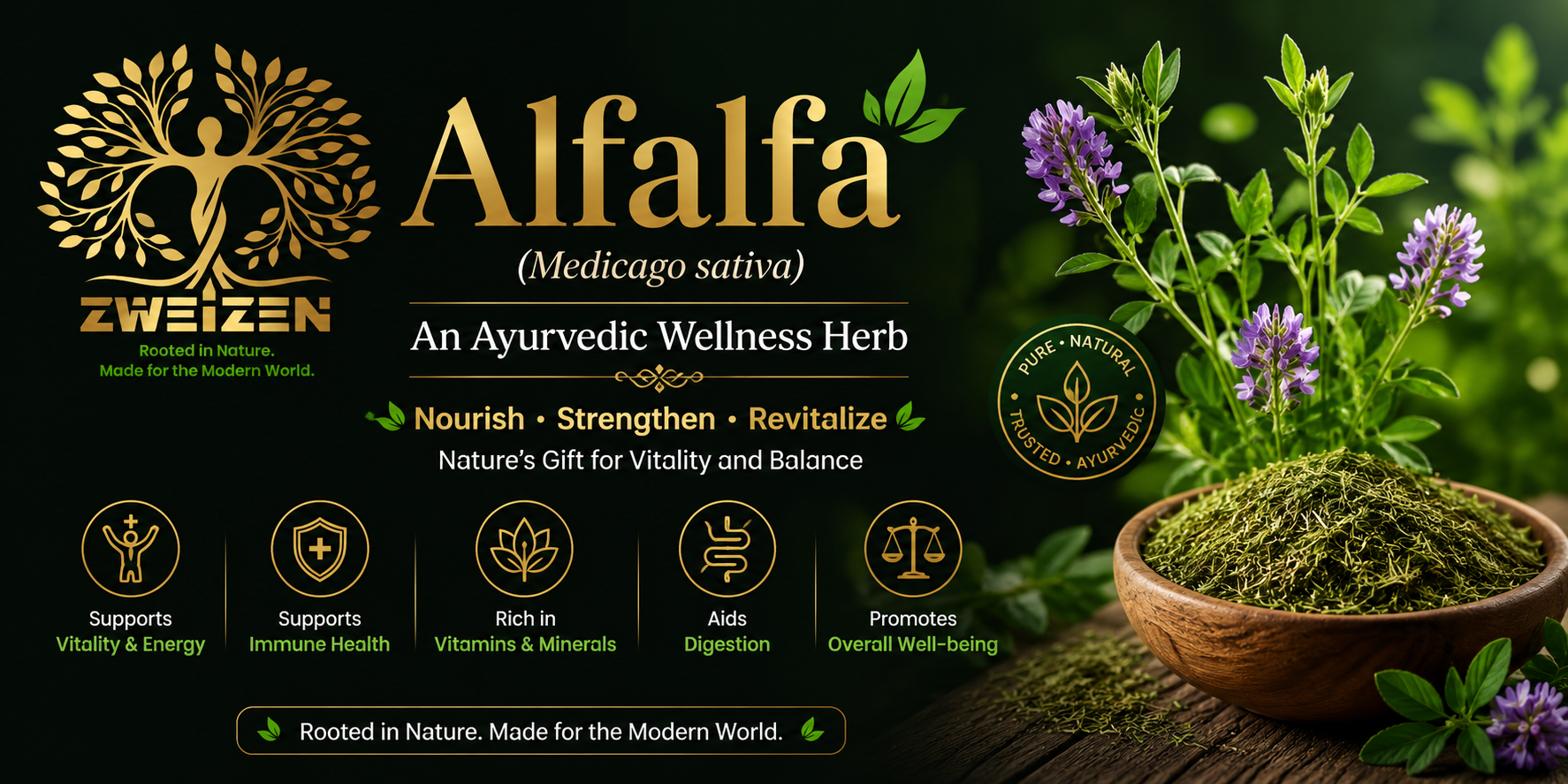 Alfalfa in Ayurveda: The Herb of Vitality, Nourishment & Modern Wellness