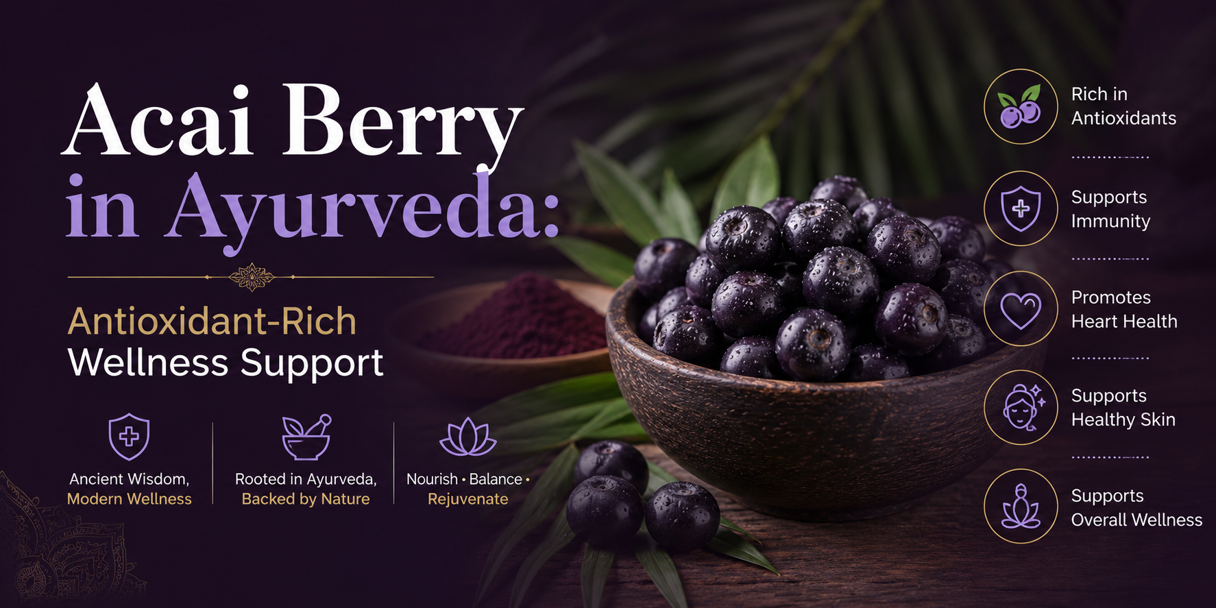 Acai Berry in Ayurveda: Antioxidant-Rich Wellness Support Backed by Tradition & Emerging Research