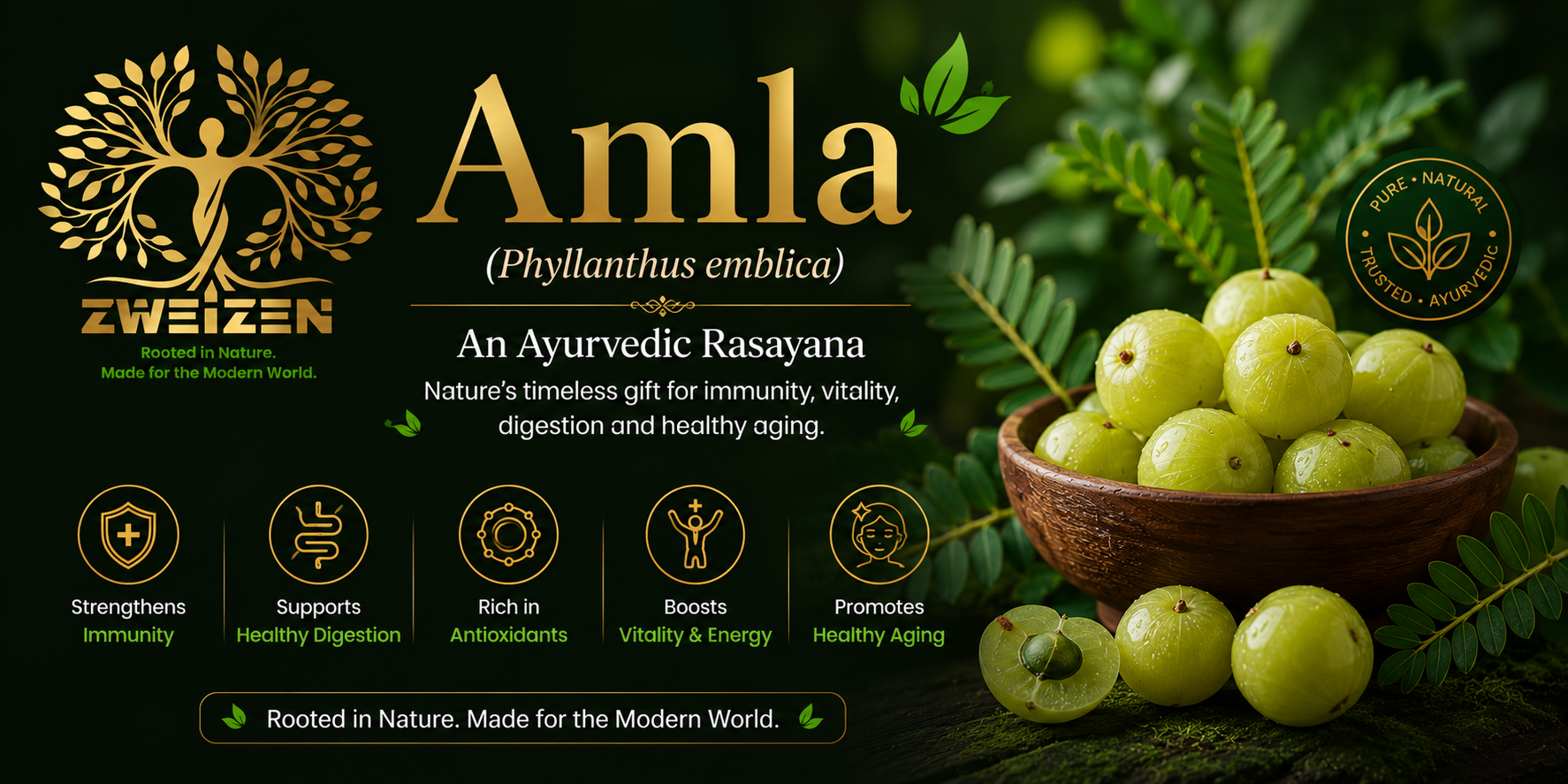 Amla in Ayurveda: The Ultimate Rasayana for Immunity, Vitality & Healthy Aging