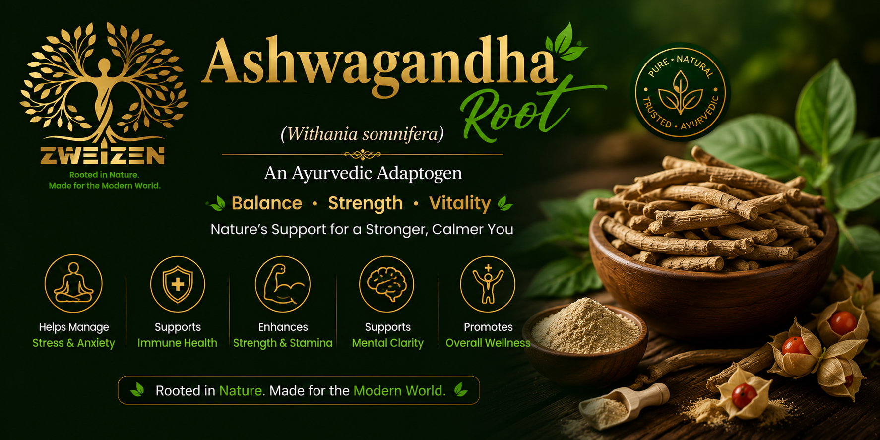 Ashwagandha Root in Ayurveda: The Adaptogenic Rasayana for Stress, Strength & Vitality